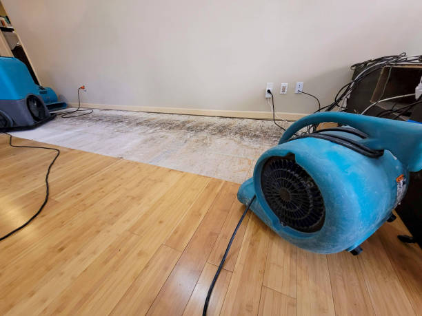 Professional Emergency Water Damage technician working in Orange, MA